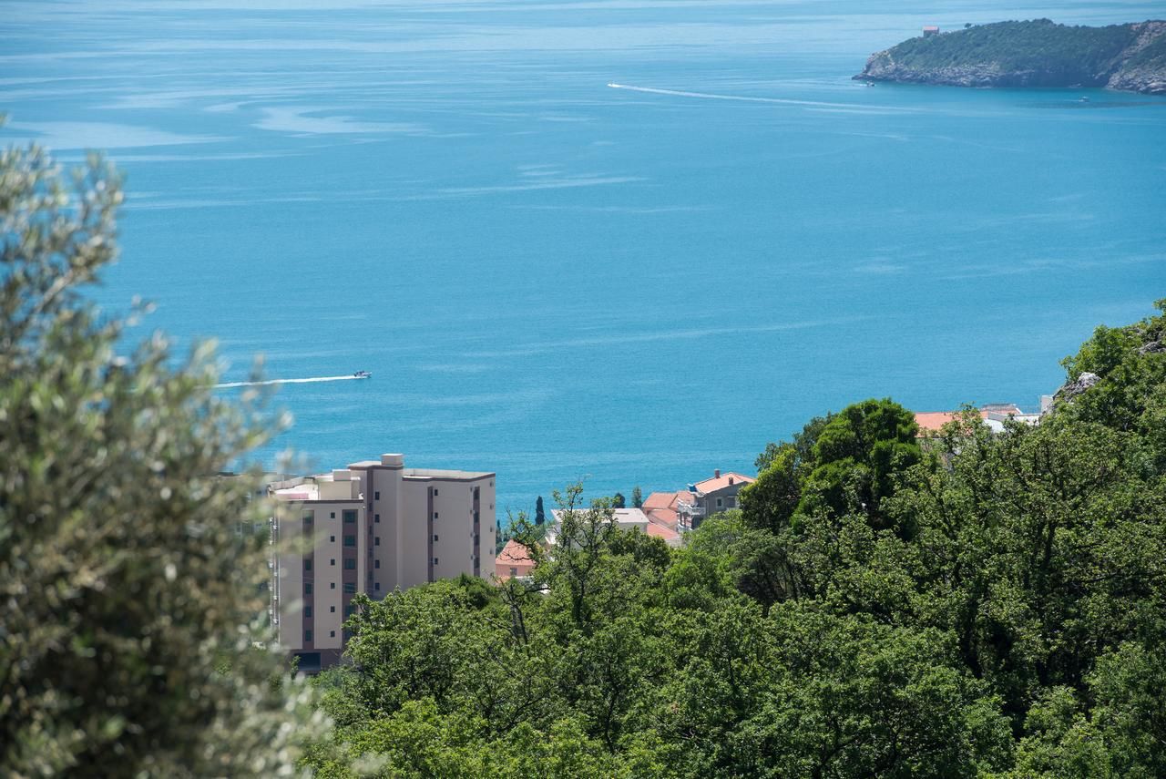 Виллы Villa Old Olive II Будва-21